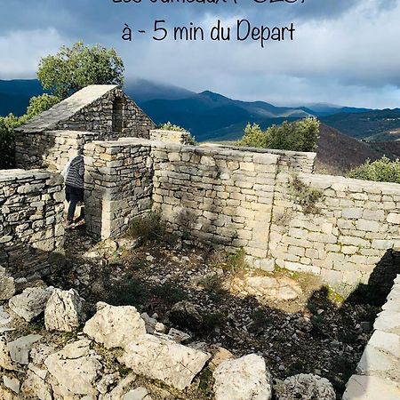 Le Nid Cevenol, Appartement De Village Sumène Екстериор снимка